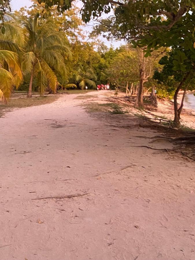 La Maison De La Plage Sainte-Luce Ngoại thất bức ảnh